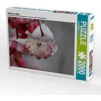 Gefrorene Blüte (Puzzle) von Calvendo Puzzle