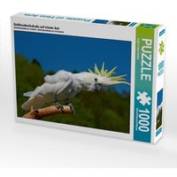 Gelbhaubenkakadu auf einem Ast (Puzzle) von Calvendo Puzzle
