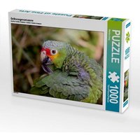Gelbwangenamazone (Puzzle) von Calvendo Puzzle
