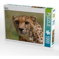 Gepard (Puzzle) von Calvendo Puzzle