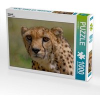 Gepard (Puzzle) von Calvendo Puzzle