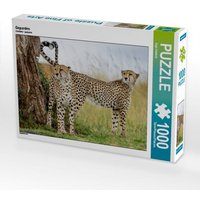 Geparden (Puzzle) von Calvendo Puzzle