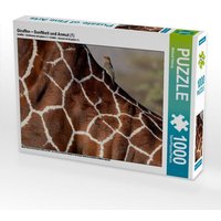 Giraffen - Sanftheit und Anmut (1) (Puzzle) von Calvendo Puzzle
