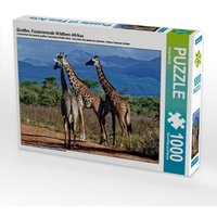 Giraffen. Faszinierende Wildtiere Afrikas (Puzzle) von Calvendo Puzzle
