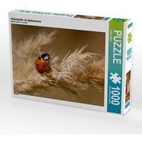 Glückskäfer im Spätsommer (Puzzle) von Calvendo Puzzle