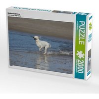Golden Retriever (Puzzle) von Calvendo Puzzle