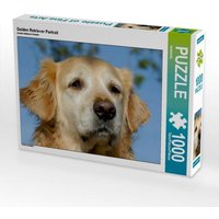 Golden Retriever Portrait (Puzzle) von Calvendo Puzzle