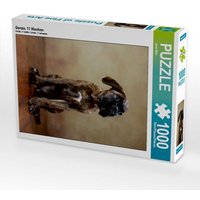 Gonzo, 11 Wochen (Puzzle) von Calvendo Puzzle