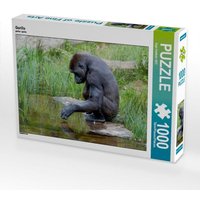 Gorilla (Puzzle) von Calvendo Puzzle