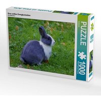 Grau weißes Zwergkaninchen (Puzzle) von Calvendo Puzzle