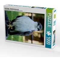 Greifvögel - Rotrückenbussard (Puzzle) von Calvendo Puzzle