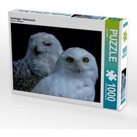 Greifvögel - Schneeeule (Puzzle) von Calvendo Puzzle
