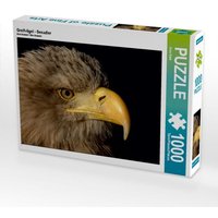 Greifvögel - Seeadler (Puzzle) von Calvendo Puzzle