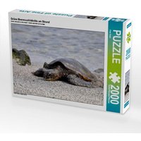 Grüne Meeresschildkröte am Strand (Puzzle) von Calvendo Puzzle