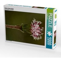 Grüner Alpenlattich (Puzzle) von Calvendo Puzzle