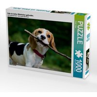 Hab ein tolles Stöckchen gefunden. (Puzzle) von Calvendo Puzzle