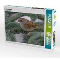 Heckenbraunelle (Puzzle) von Calvendo