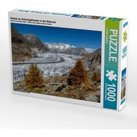 Herbst am Aletschgletscher in der Schweiz (Puzzle) von Calvendo Puzzle