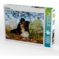Herbstfarben (Puzzle) von Calvendo Puzzle