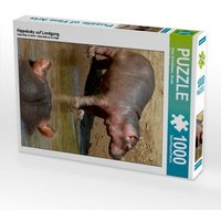 Hippobaby auf Landgang (Puzzle) von Calvendo Puzzle