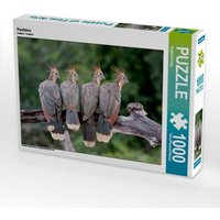 Hoatzins (Puzzle) von Calvendo Puzzle