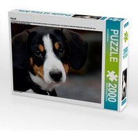Hund (Puzzle) von Calvendo Puzzle
