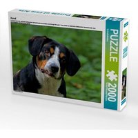 Hund (Puzzle) von Calvendo Puzzle