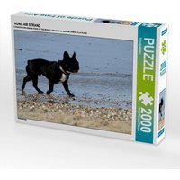 Hund Am Strand (puzzle) von Calvendo Puzzle