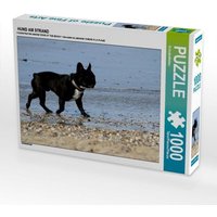 Hund Am Strand (puzzle) von Calvendo Puzzle
