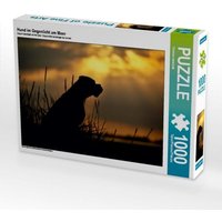 Hund im Gegenlicht am Meer (Puzzle) von Calvendo Puzzle