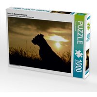Hund im Sonnenuntergang (Puzzle) von Calvendo Puzzle