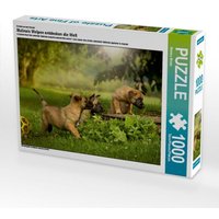 Hundekinder entdecken die Welt..., 1000 Teile von Calvendo Puzzle