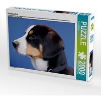 Hundeportrait (Puzzle) von Calvendo Puzzle