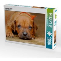 Ich bin ein nettes (Puzzle) von Calvendo Puzzle