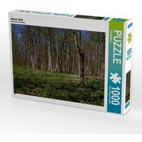 CALVENDO Puzzle Iltener Holz 1000 Teile Lege-Größe 64x48cm Foto-Puzzle für glückliche Stunden von Calvendo Puzzle