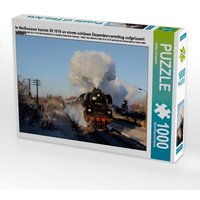 CALVENDO Puzzle In Weißwasser konnte 35 1019 an einem schönen Dezembervormittag aufgelauert werden. 1000 Teile Puzzle quer 1000 Teile Lege-Größe 64 × 48 cm Foto-Puzzle für glückliche Stunden von Calvendo Puzzle