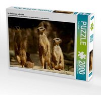 In die Sonne schauen (Puzzle) von Calvendo Puzzle