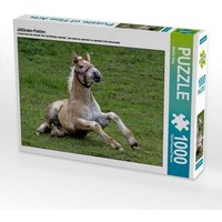 Jütländer-Fohlen (Puzzle) von Calvendo Puzzle