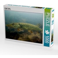 Junger Hecht (Puzzle) von Calvendo Puzzle