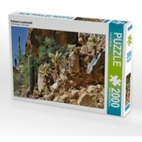 Kakteen-Landschaft (Puzzle) von Calvendo