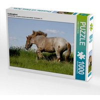 Kaltblutpferd (Puzzle) von Calvendo Puzzle