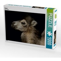 Kamel (Puzzle) von Calvendo Puzzle