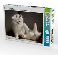 Katzen - Perserkatze (Puzzle) von Calvendo Puzzle