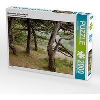 Kiefernwald am Leuchtturm (Puzzle) von Calvendo Puzzle