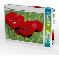 Klatschmohn (Puzzle) von Calvendo Puzzle