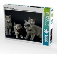 Kleine Briten Bärchen (Puzzle) von Calvendo Puzzle