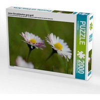 Kleine Gänseblümchen ganz groß (Puzzle) von Calvendo Puzzle
