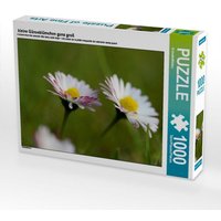 Kleine Gänseblümchen ganz groß (Puzzle) von Calvendo Puzzle