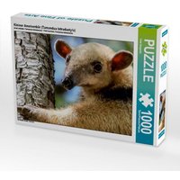 Kleiner Ameisenbär (Tamandua tetradactyla) (Puzzle) von Calvendo Puzzle