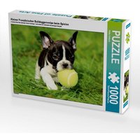 Kleiner Französischer Bulldoggenwelpe beim Spielen (Puzzle) von Calvendo Puzzle